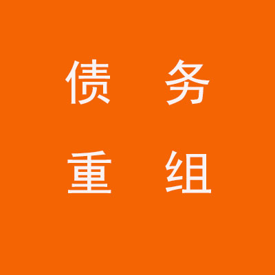 向阳个人债务重组优化